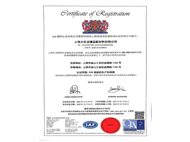 大巨龙ISO9001质量体系认证